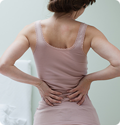 Back - Educational Picture